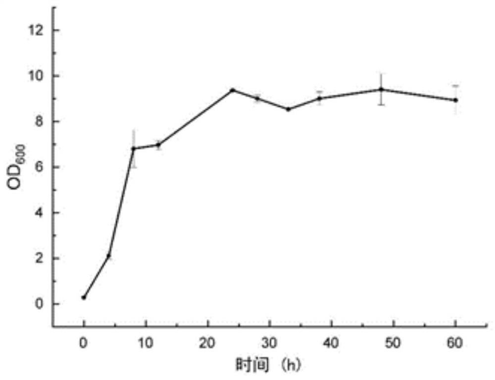 Pediococcus acidilactici DY15 and application thereof, and feed and preparation method thereof