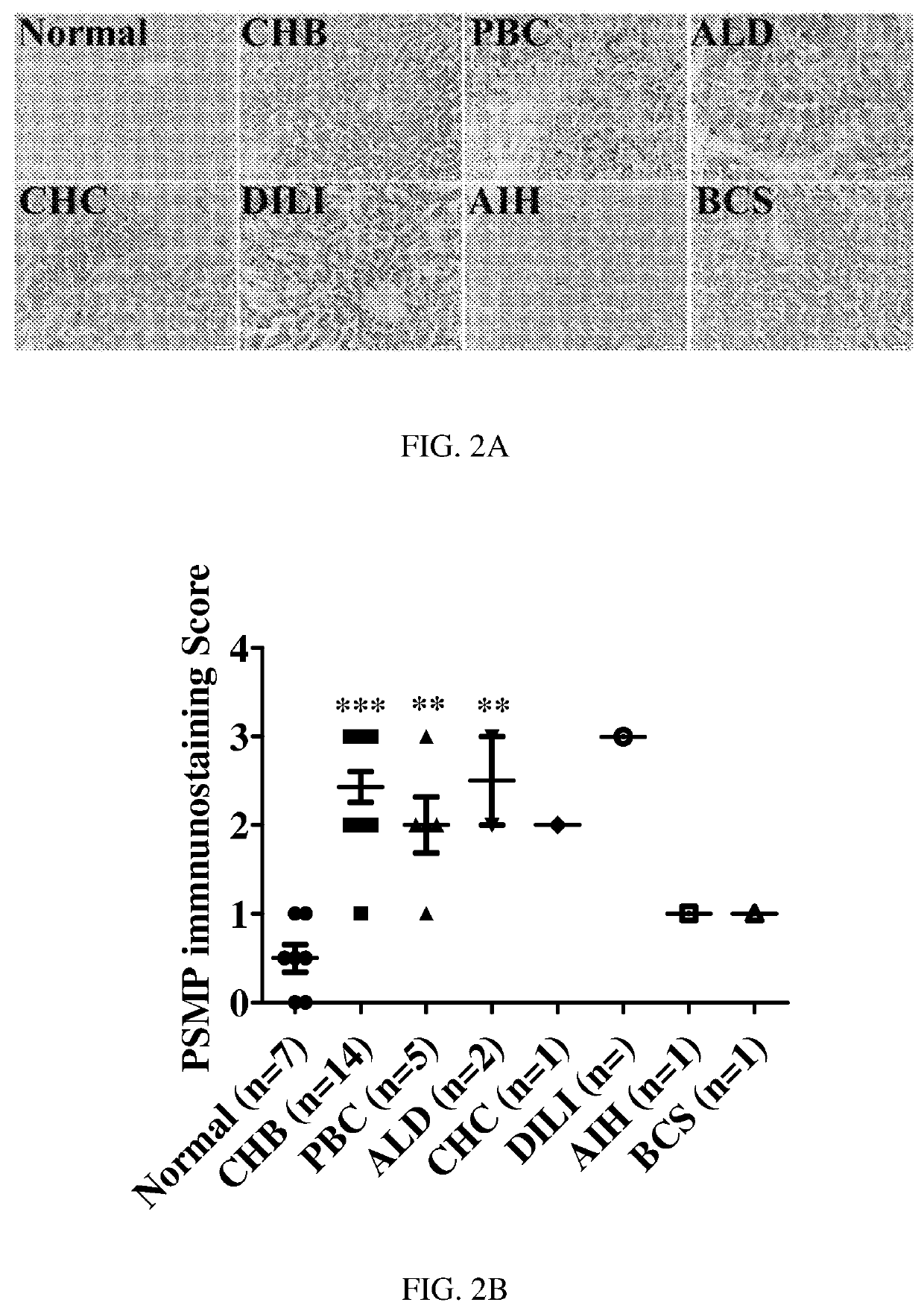 Methods for treating disease using psmp antagonists