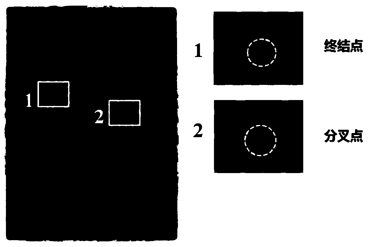 A method for displaying latent fingerprints on the surface of different hydrophilic and hydrophobic materials