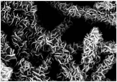 A kind of preparation method of sheet-stacked molybdenum disulfide nanotubes