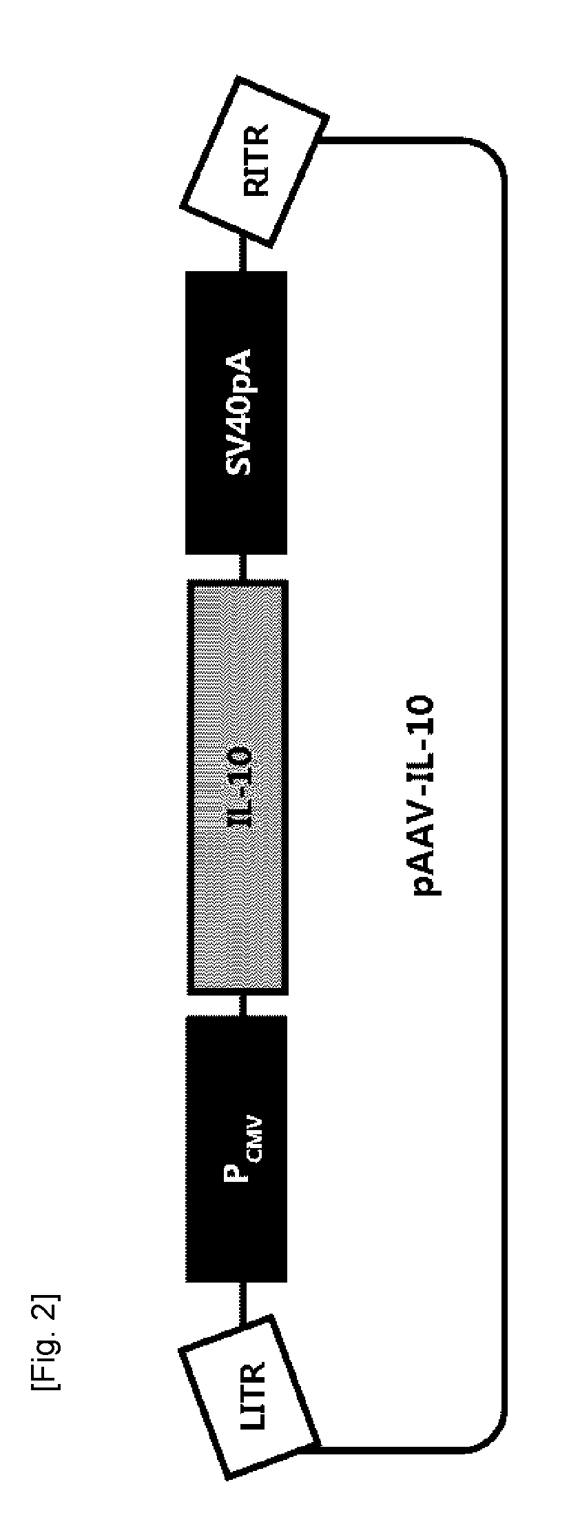 Composition for alleviating or treating pain