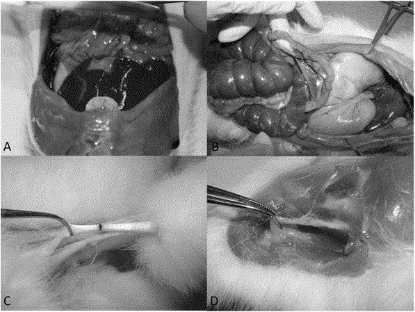 A kind of anti-adhesion biofilm and preparation method thereof