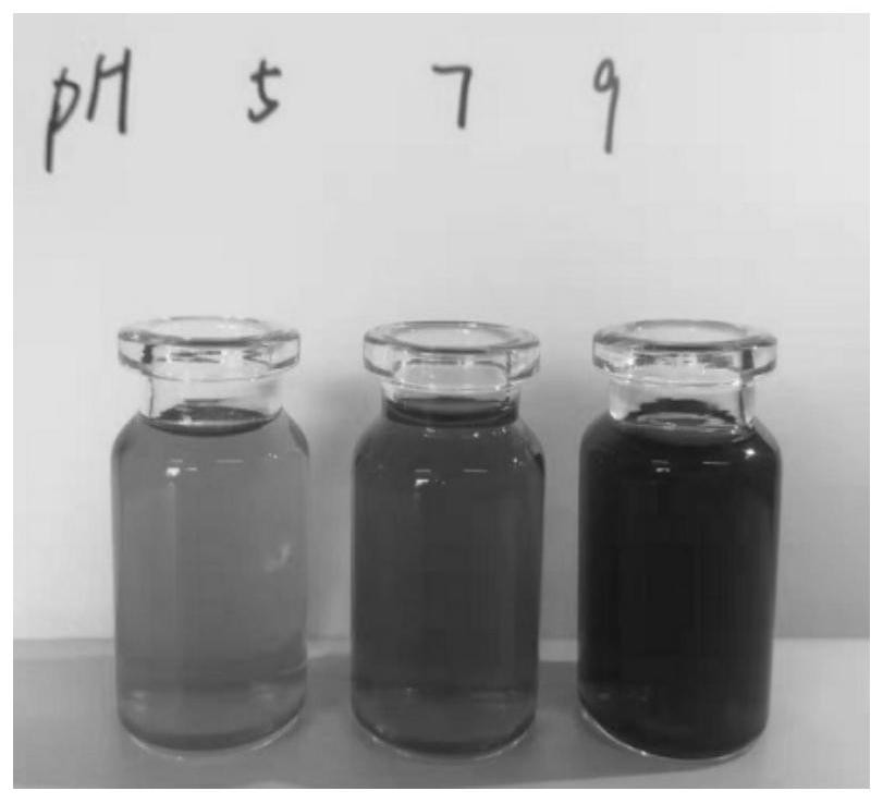 A plant two-step fermentation product with skin anti-irritation and anti-oxidation effects and its preparation method and application