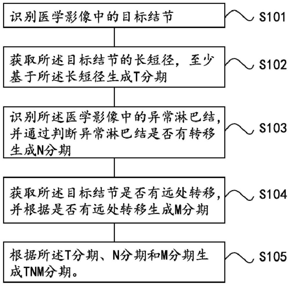 Lung cancer TNM staging acquisition method and device, and display method