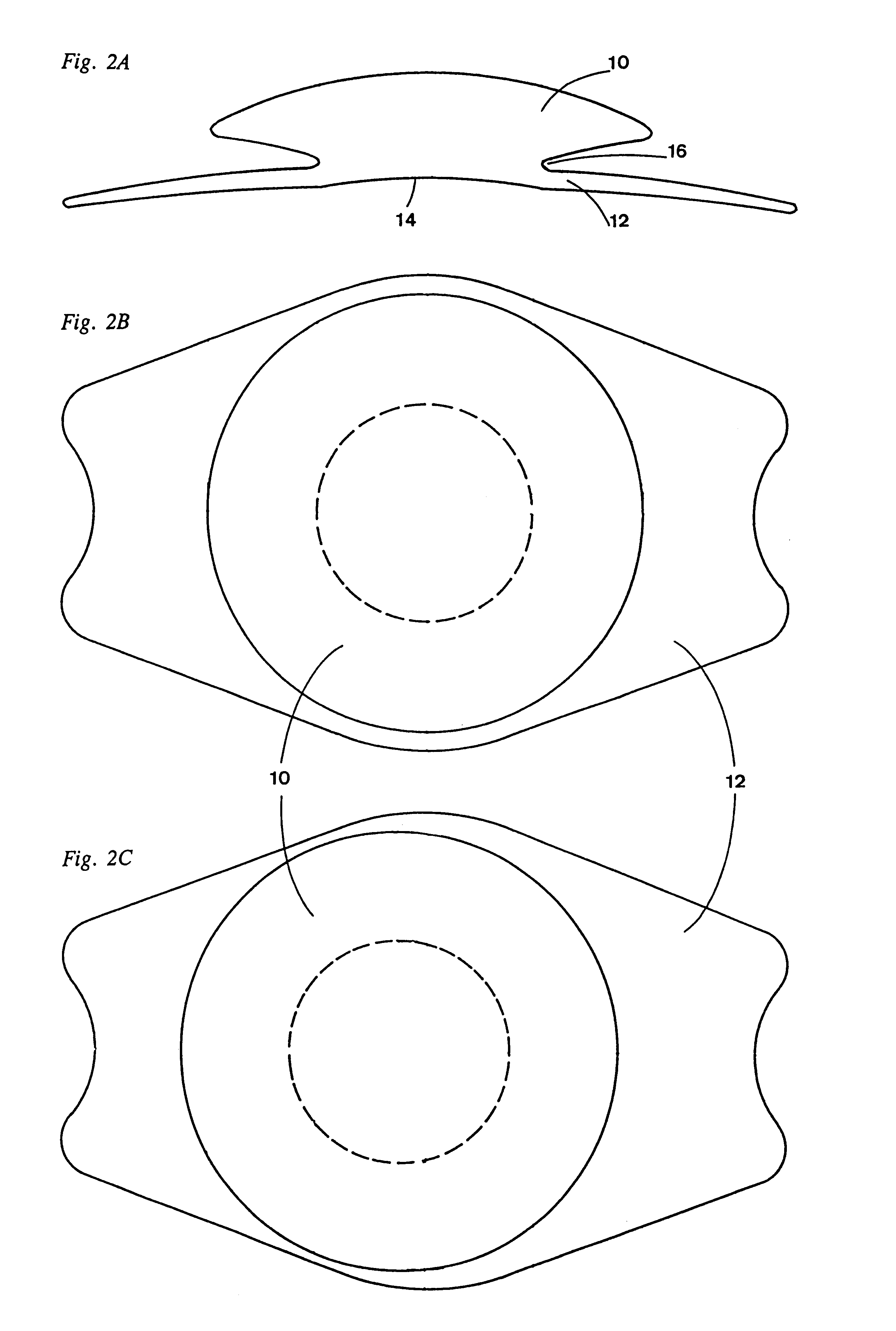 Intraocular lens with accommodative properties