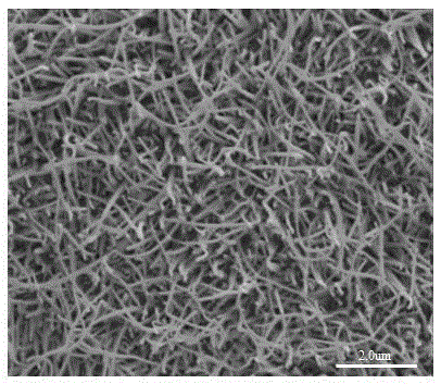 Magnéli phase titanium oxide nanowire array and preparation method thereof