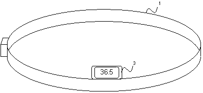 Body temperature monitoring device and monitoring method