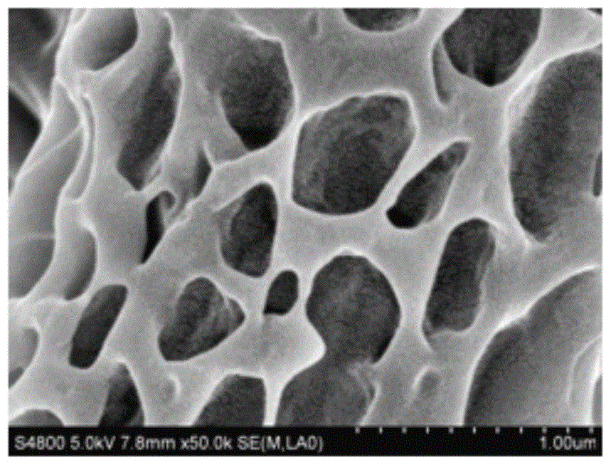 Docetaxel-loaded nanoporous network fibers prepared by high-voltage electrospinning and their applications