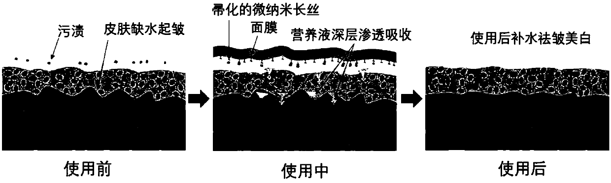 Antibacterial, anti-inflammation and skin-whitening mask and preparation method thereof