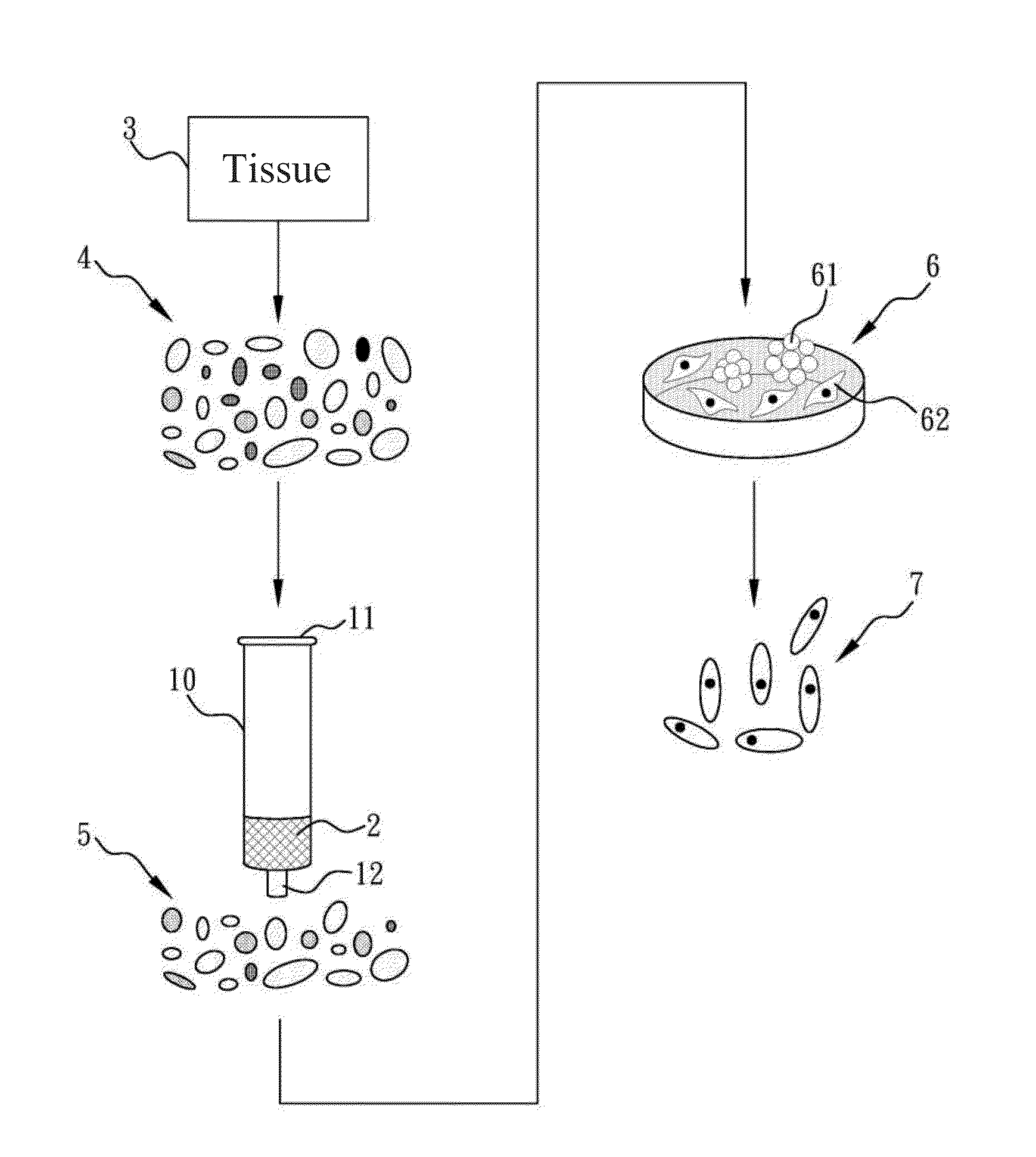 Method of obtaining high purity stem cells from tissue
