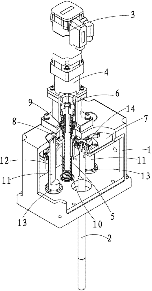 Honing feed expansion tool mechanism