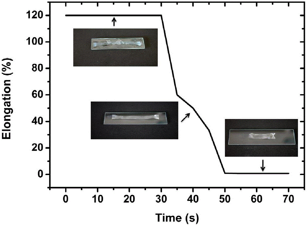 Tri-shape shape memory conductive polymeric nanocomposite and preparation method thereof