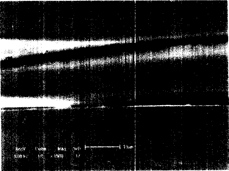 Water-absorbing fast-drying fiber, producing method thereof and method for producing textile fabric