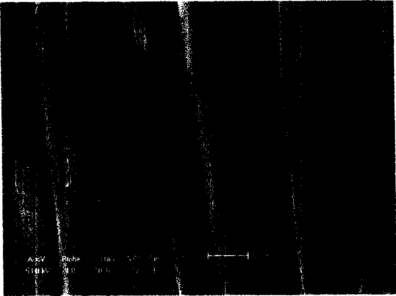 Water-absorbing fast-drying fiber, producing method thereof and method for producing textile fabric