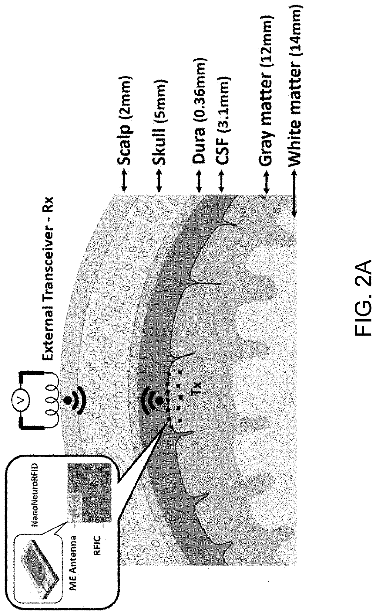 Implantable Devices Based on Magnetoelectric Antenna, Energy Harvesting and Communication