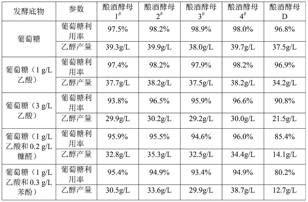 A kind of yeast agent and its use and method for producing ethanol