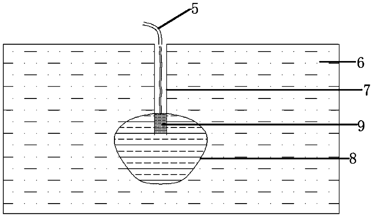 An accelerated permeation device suitable for in-situ leaching of ion-type rare earth mines