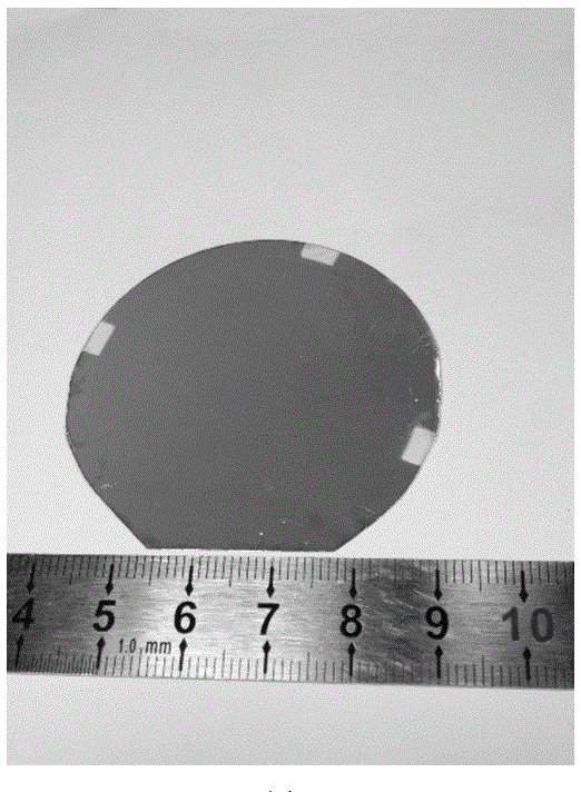 Preparation method, product and application of flexible vanadium dioxide film