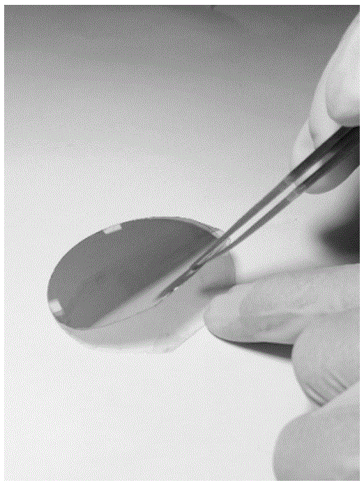 Preparation method, product and application of flexible vanadium dioxide film