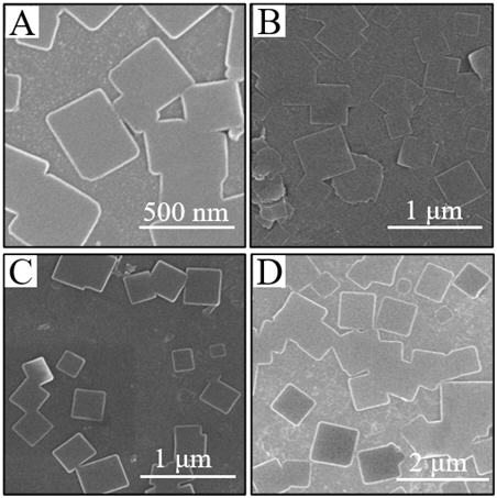 Gold porphyrin MOF nanosheet with ultrasonic stimulation response as well as preparation method and application of gold porphyrin MOF nanosheet