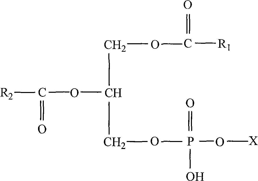 Method for preparing phosphatidylserine abundant in polyunsaturated fatty acid