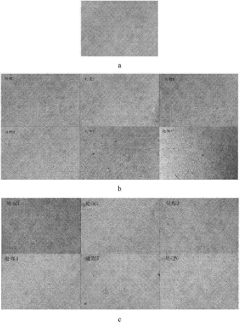 Culture method for inducing mesenchymal stem cell to differentiate for forming osteocyte under condition without CO2