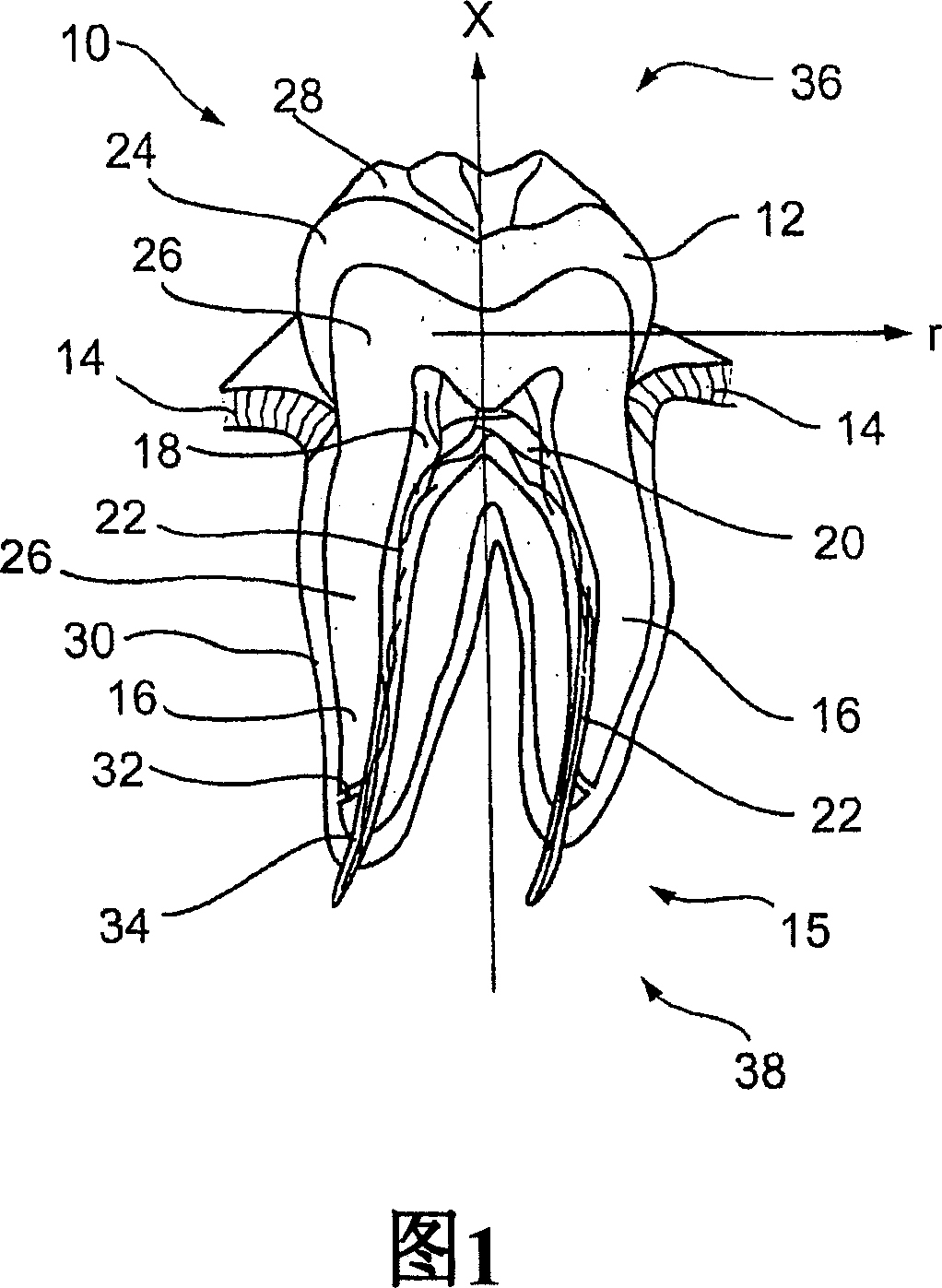 Oral devices and methods for controlled drug delivery