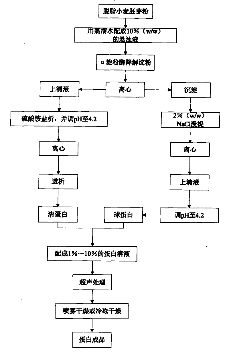 Method for improving wheat plantule protein capability with supersonic wave