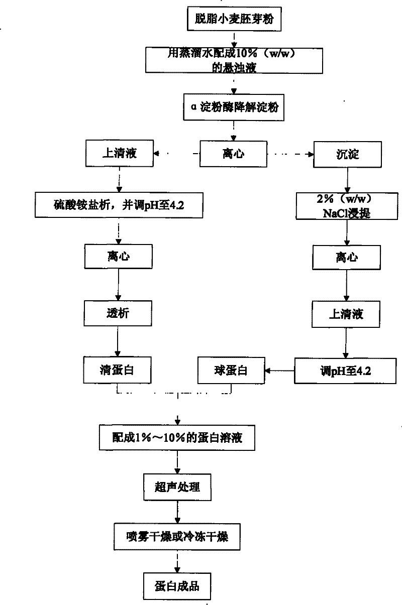 Method for improving wheat plantule protein capability with supersonic wave