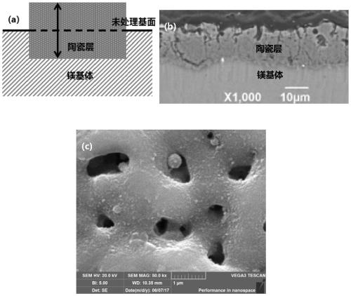 Surface modification process for magnesium alloy