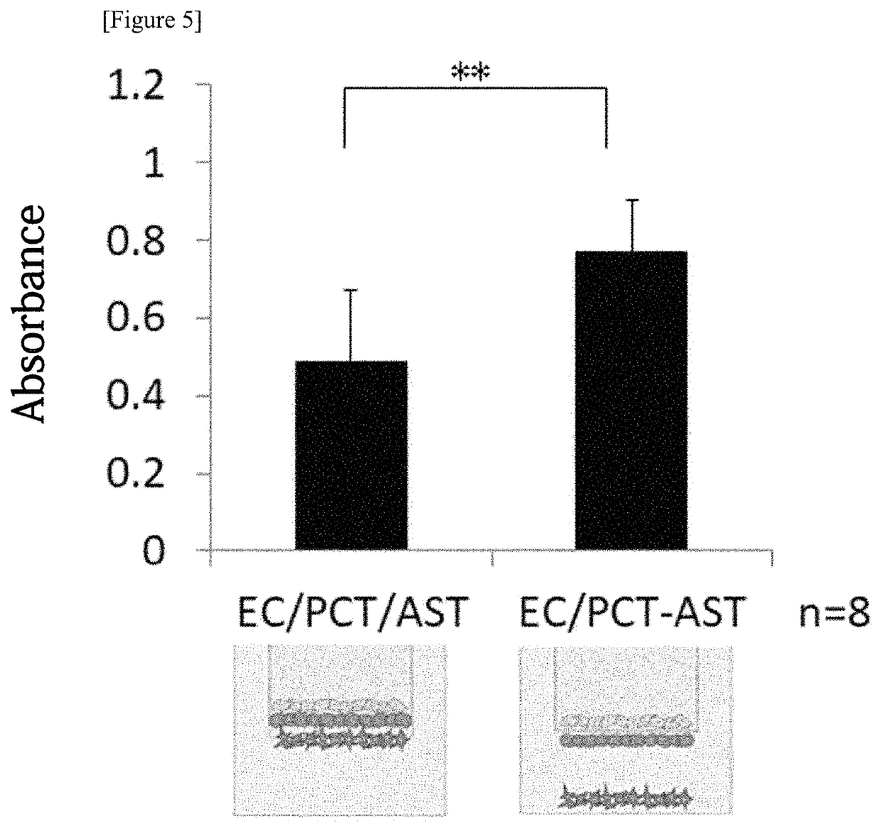 In vitro model for blood-brain barrier and method for producing in vitro model for blood-brain barrier