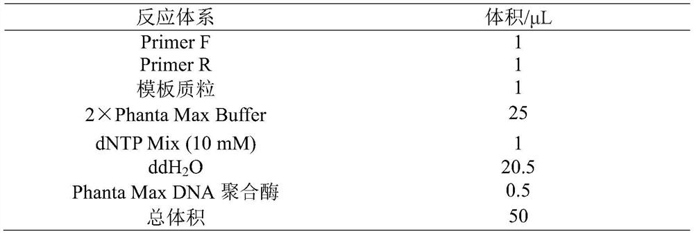 Phosphatase mutant and application thereof in preparation of fructose by catalyzing maltodextrin