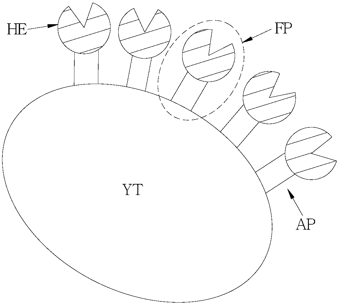 Mixed bacteria system, method for decomposing hemicellulose and method for producing alcohol