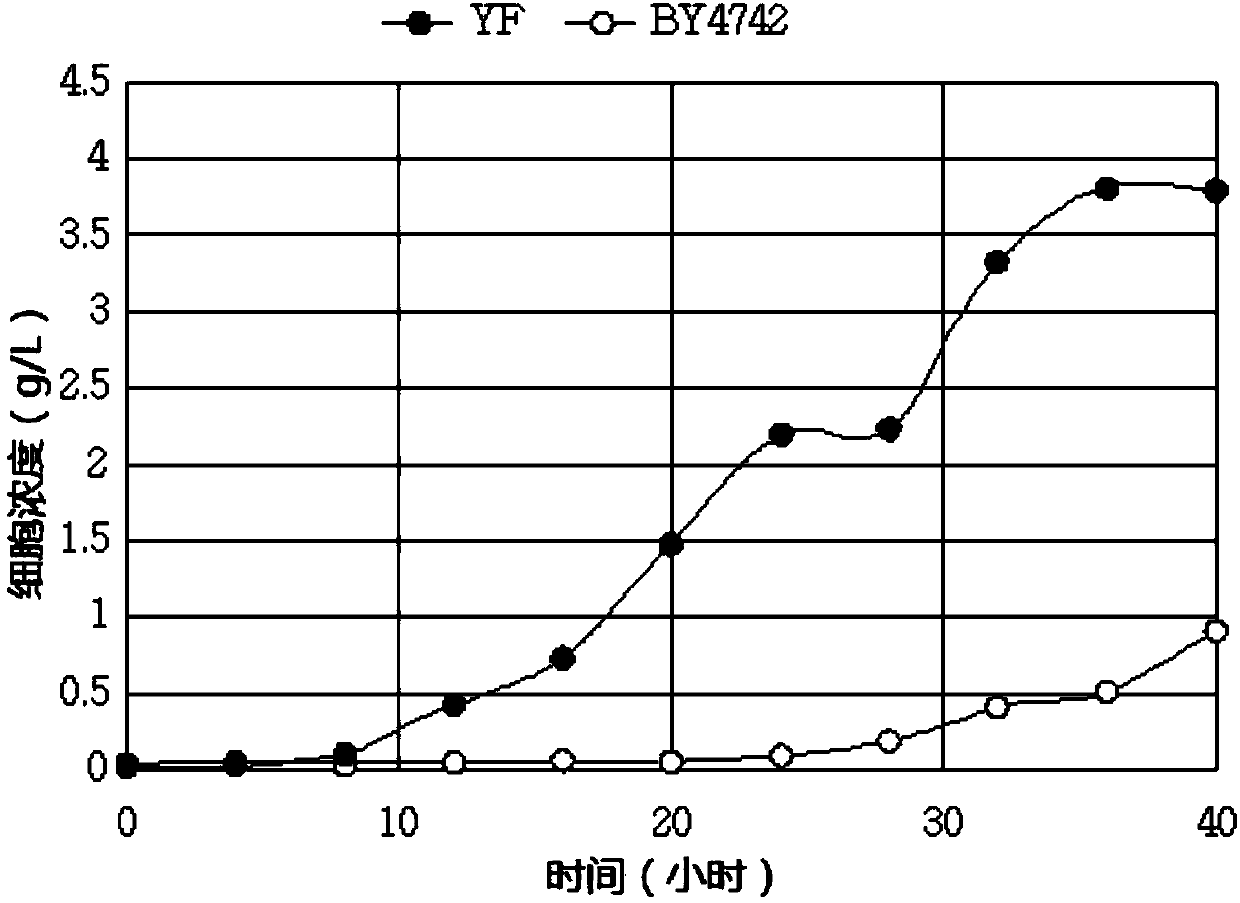 Mixed bacteria system, method for decomposing hemicellulose and method for producing alcohol