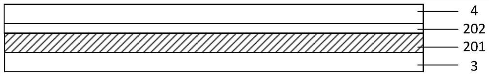 Display panel and display device