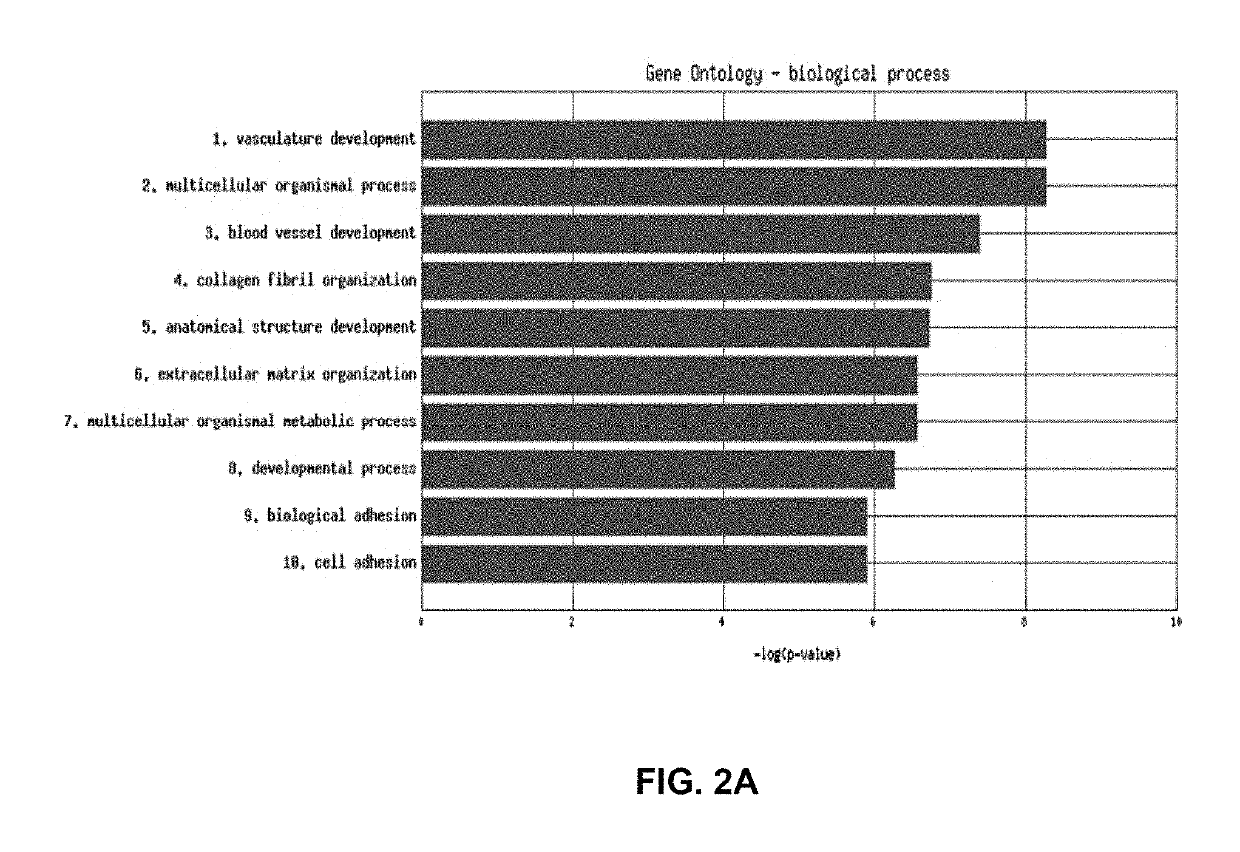 Method of using a gene expression profile to determine cancer responsiveness to an anti-angiogenic agent
