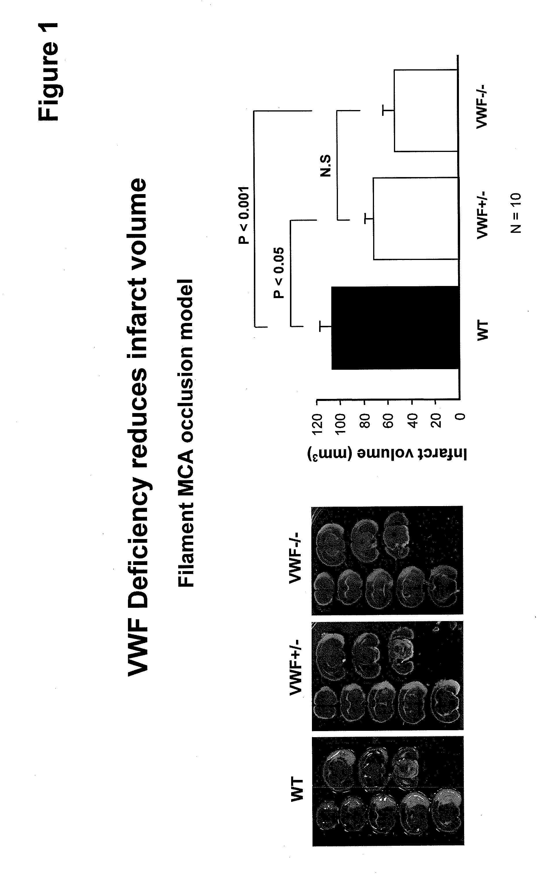 Von willebrand factor (VWF) inhibitors for treatment or prevention of infarction