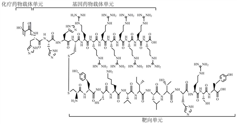 Polylactic acid-polypeptide micelle and application thereof