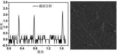 Carbon quantum dot sensor with copper ion and cysteine recognition functions, preparation method and application thereof