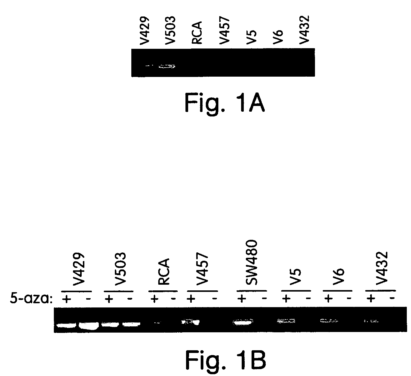 Methods and compositions for detecting colon cancers