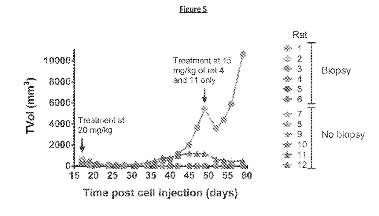 Intermittent dosing of mdm2 inhibitor