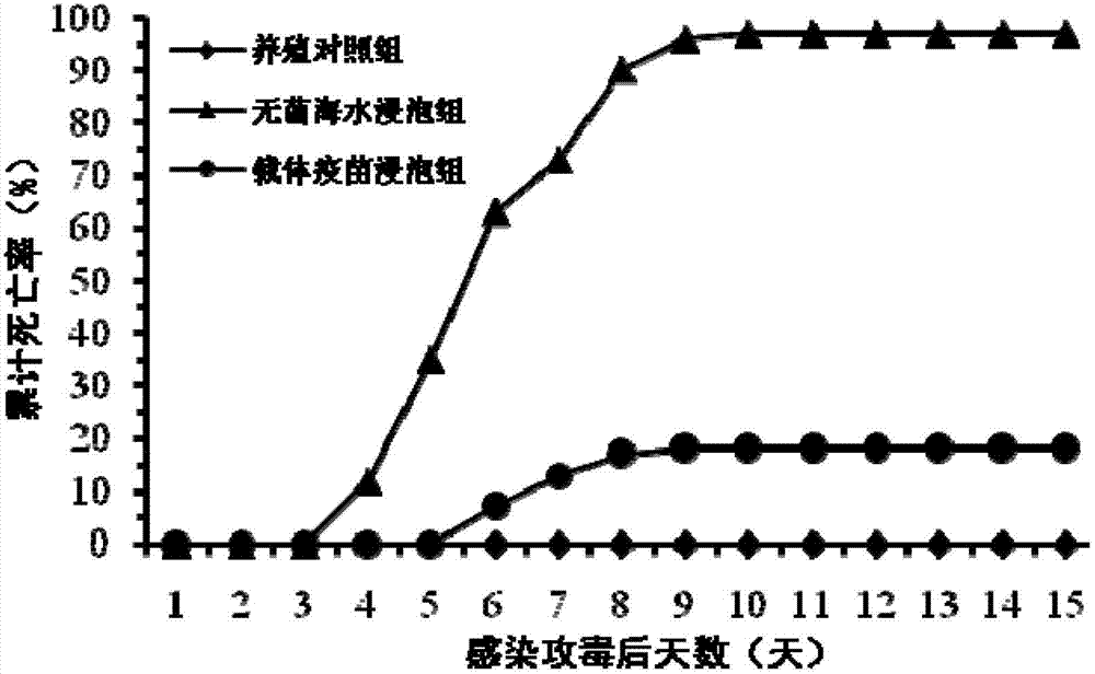 Prawn white spot syndrome virus multivalent vector vaccine and application thereof