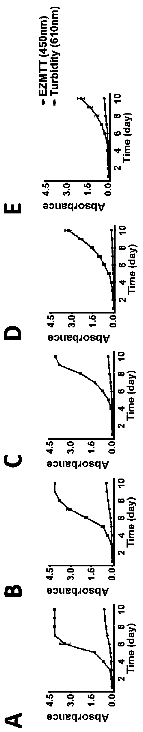 High-throughput drug sensitivity detection kit as well as use method and application thereof