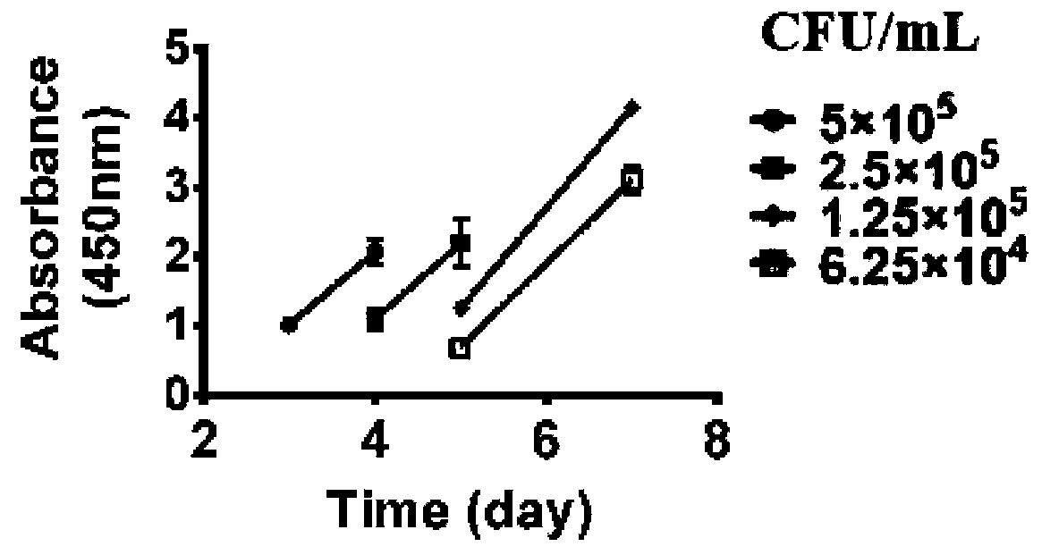 High-throughput drug sensitivity detection kit as well as use method and application thereof