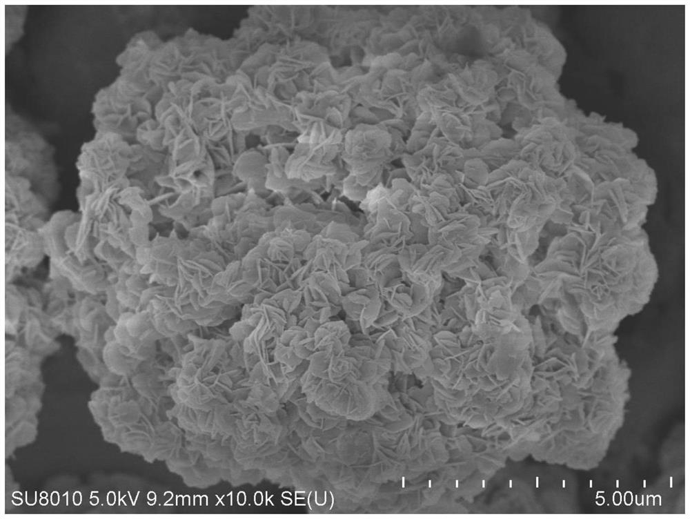 MWW molecular sieve, preparation method thereof and application of alkaloid in preparation of MWW molecular sieve