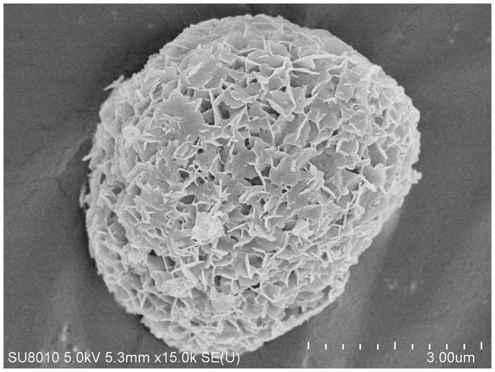 MWW molecular sieve, preparation method thereof and application of alkaloid in preparation of MWW molecular sieve