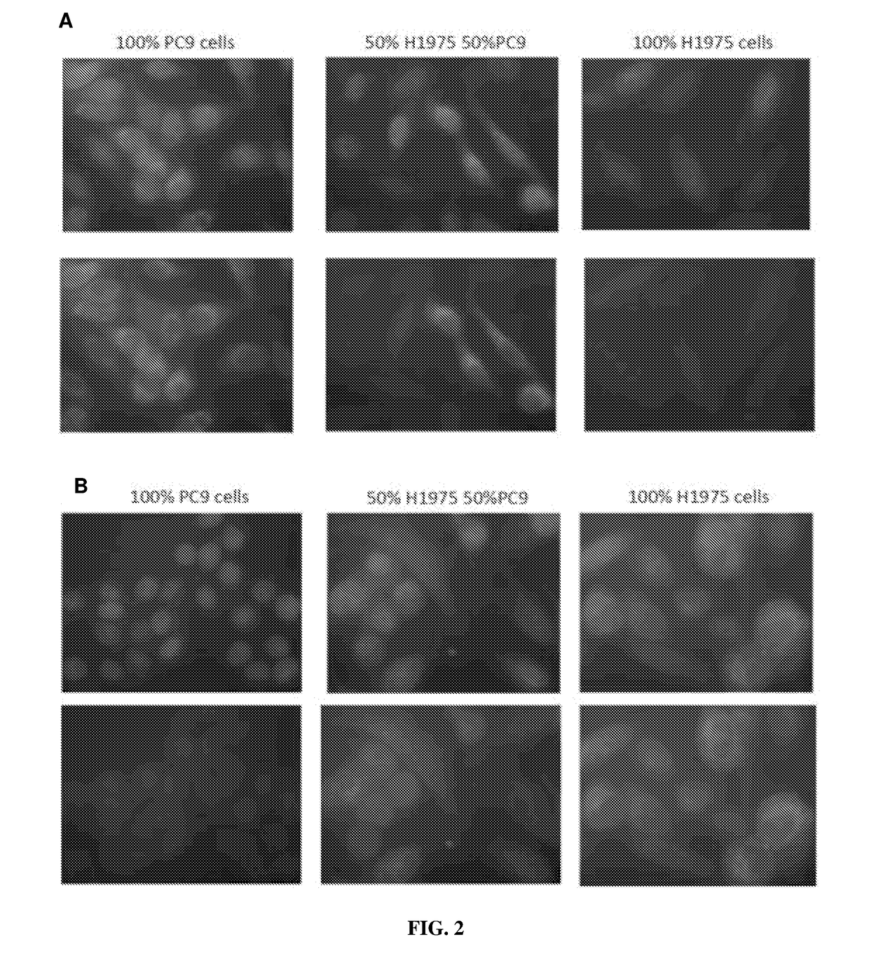 Method for detecting circulating tumor cells and uses thereof