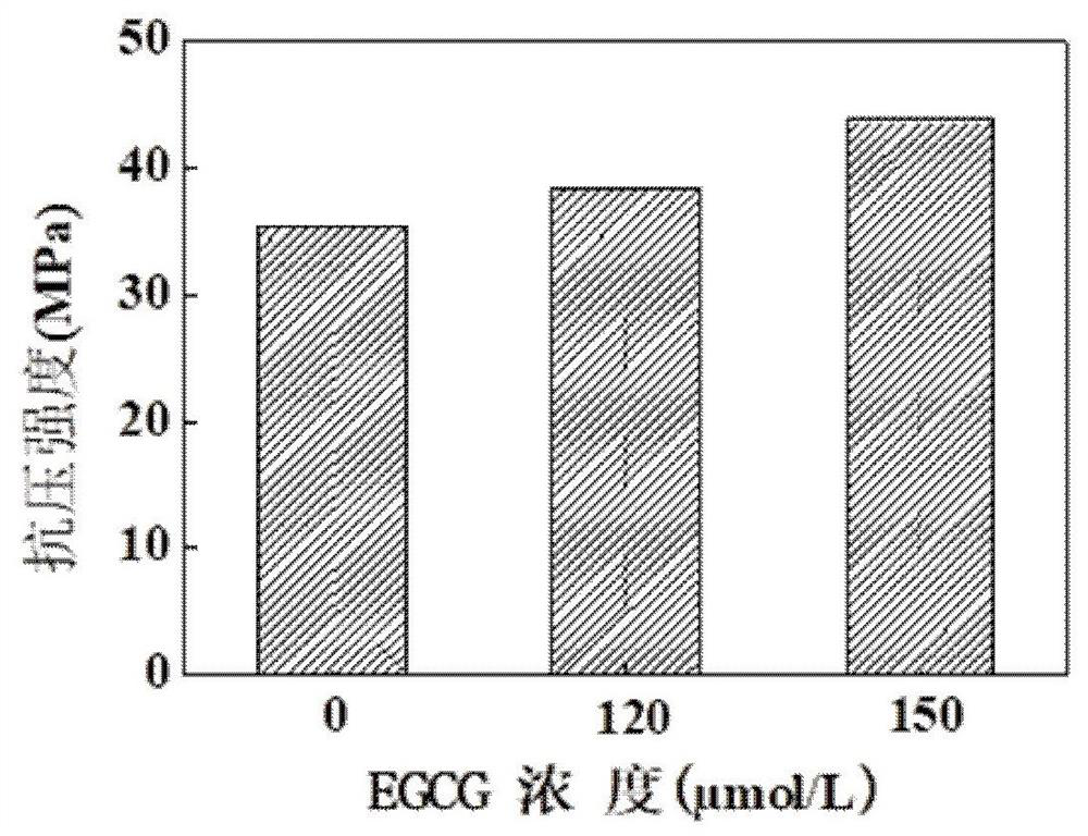 Bone repair material and preparation method thereof