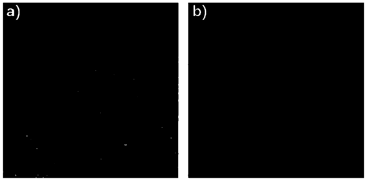 Chimeric receptor targeting human membrane-bound and soluble NKG2D ligands, nucleic acid molecule, immune effector cell and application thereof