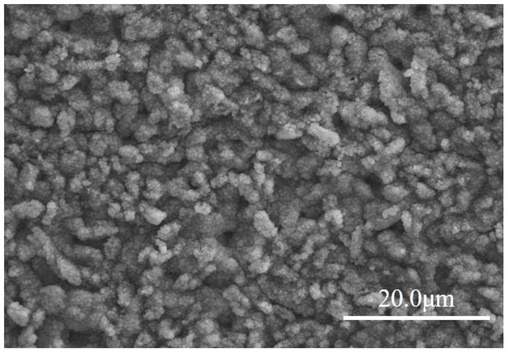 Preparation and Application of a Biocompatibility Coating for Improving the Surface of Medical Zinc/Zinc Alloy
